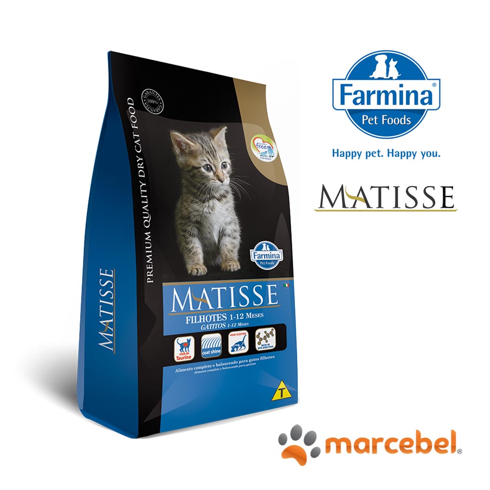 Matisse-Filhotes-farmina-marcebel-1